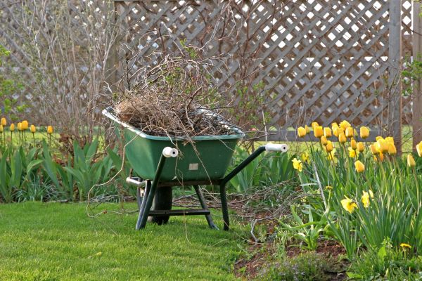 Flower Bed Cleanup Service in Plano