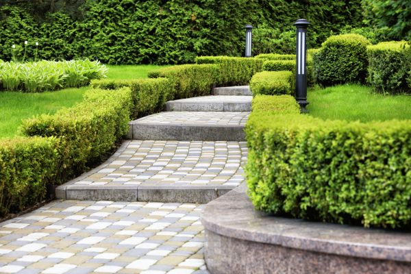 Backyard Remodeling in Plano