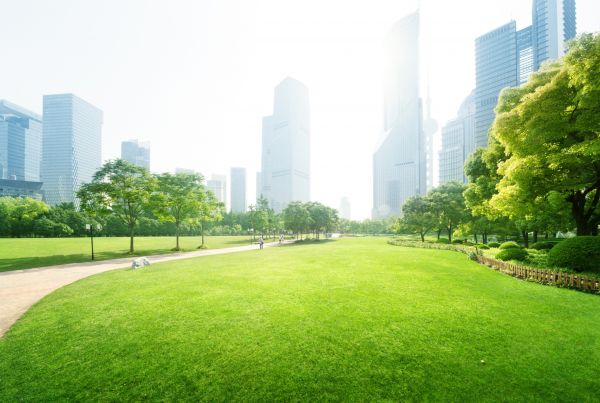 Commercial Landscape Maintenance in Plano