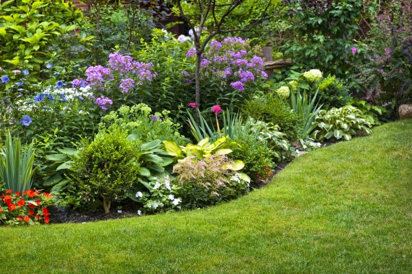 Flower Bed Service in Plano