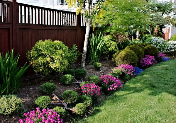 Garden Care Service in Plano