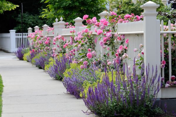 Garden Handyman Service in Plano
