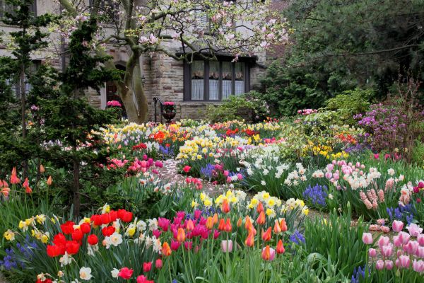 Garden Maintenance Service in Plano