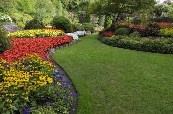 Landscaping Maintenance in Plano