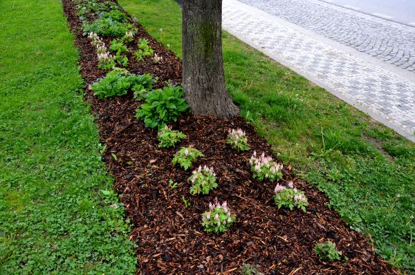 Mulch Replacement Service in Plano