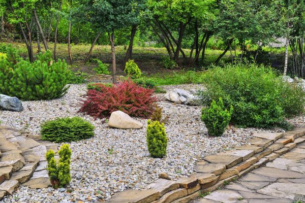 Rock Landscaping in Plano