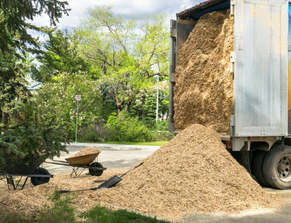 Wood Chips Delivery in Plano