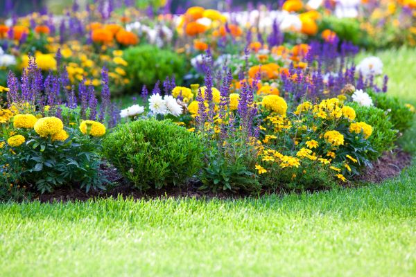 Garden Installation in Plano
