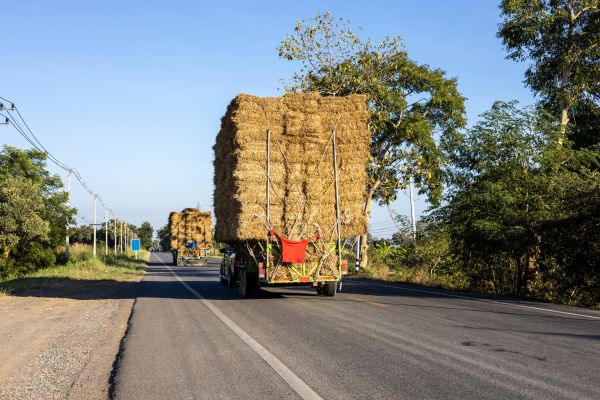 Pine Straw Delivery in Plano