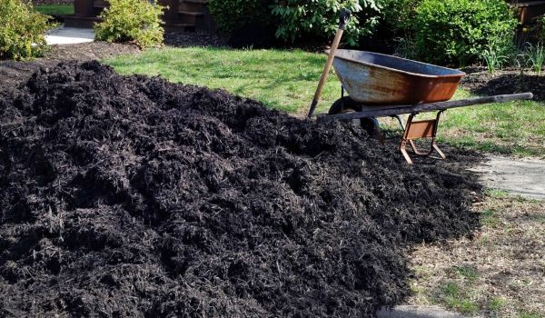 Black Mulch Delivery in Plano