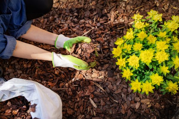 Garden Mulching in Plano