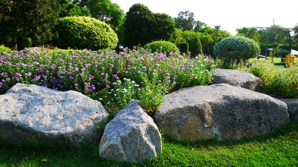 Boulder Landscaping in Plano