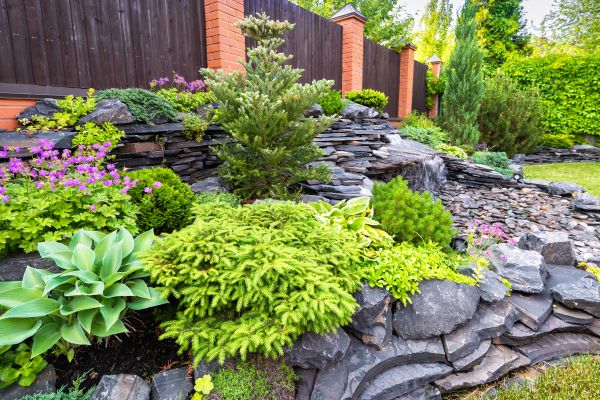 Landscape Remodeling in Plano