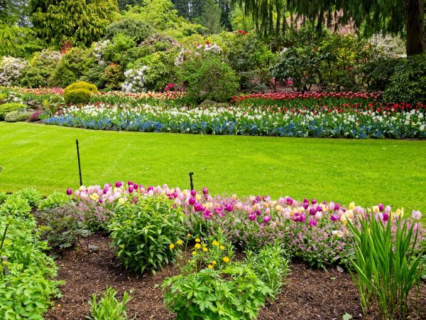 Residential Landscape Design in Plano