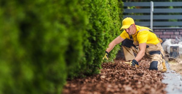 Cypress Mulch Installation in Plano