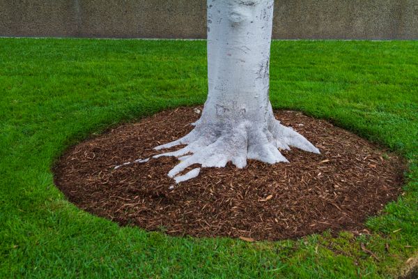 Brown Mulch Installation in Plano