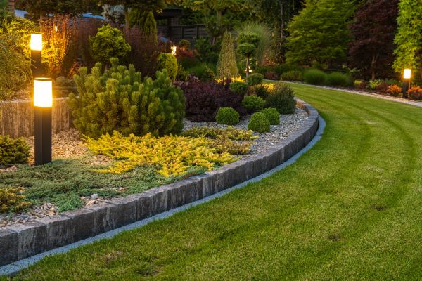 Garden Repair Service in Plano