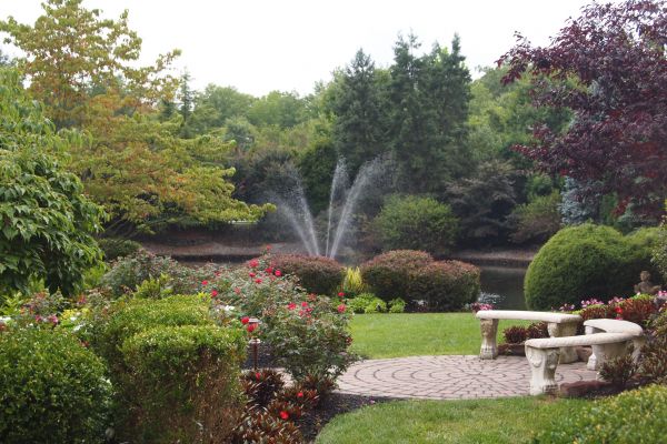 Courtyard Design Service in Plano