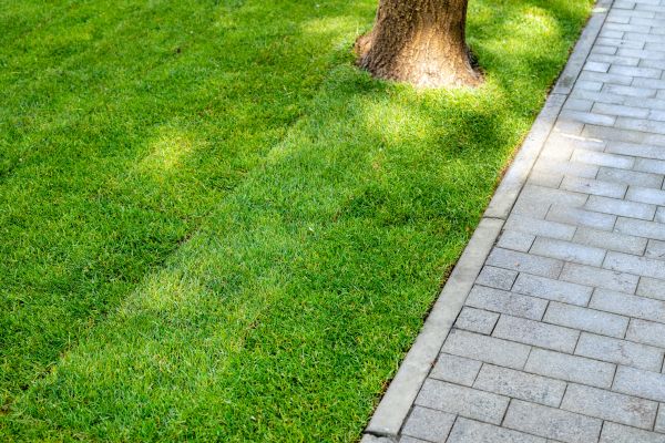 Border Stone Installation in Plano