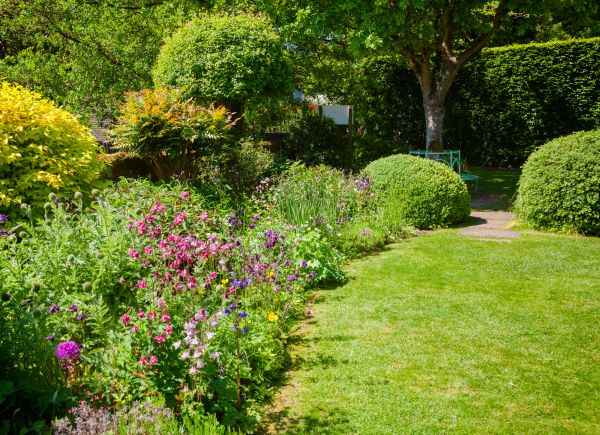 Yard Landscaping Service in Plano