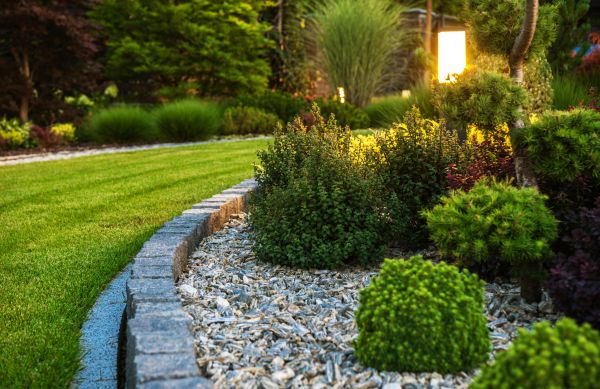 Landscaping Service in Plano