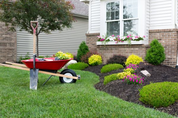 Tree And Shrub Planting in Plano