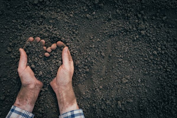 Soil Installation in Plano