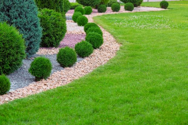 Edging Stones Installation in Plano