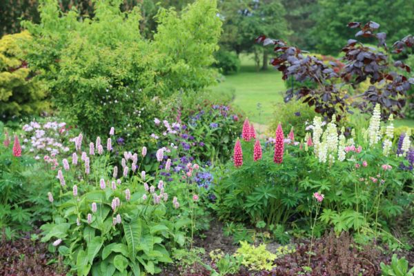 Flower Bed Planting in Plano