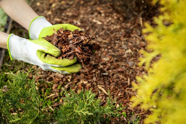 Garden Mulch Delivery in Plano