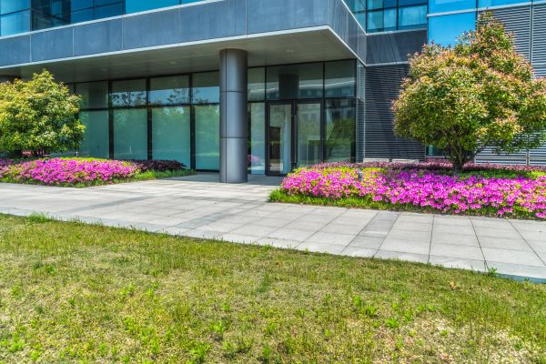 Commercial Gardening in Plano
