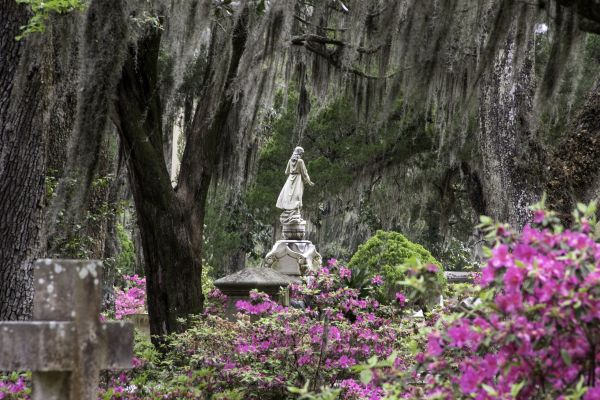 Cemetery Landscaping in Plano