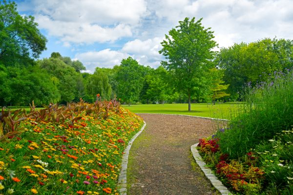 Park Landscaping in Plano