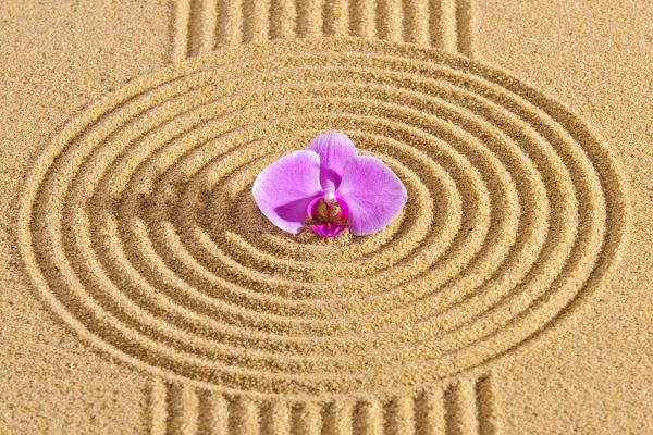 Sand Garden Landscaping in Plano