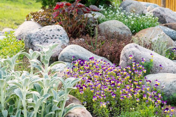 Rock Garden Installation in Plano