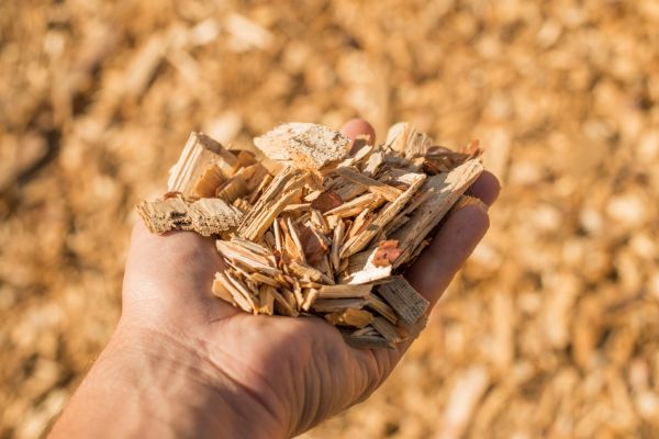 Wood Chips Spreading in Plano