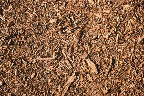 Wood Chips Removal in Plano