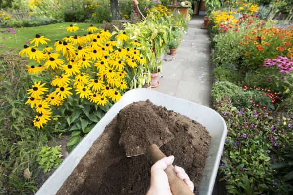 Topsoil Replacement in Plano