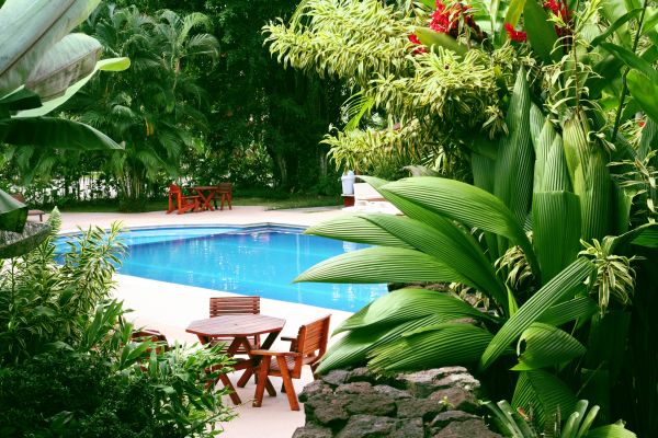 Pool Area Landscaping in Plano