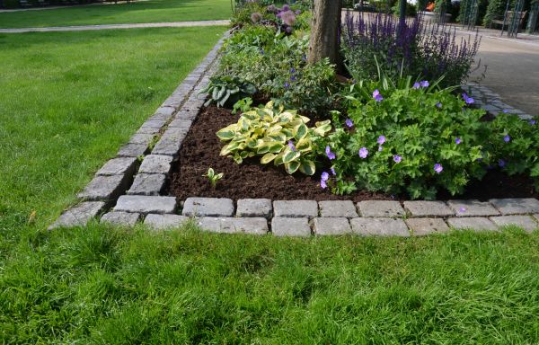 Flower Bed Mulching in Plano