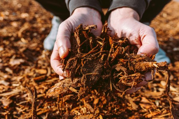 Bark Chips Delivery in Plano