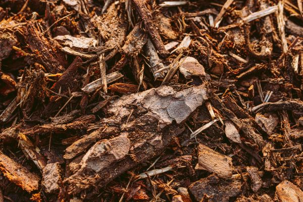 Bark Mulch Delivery in Plano