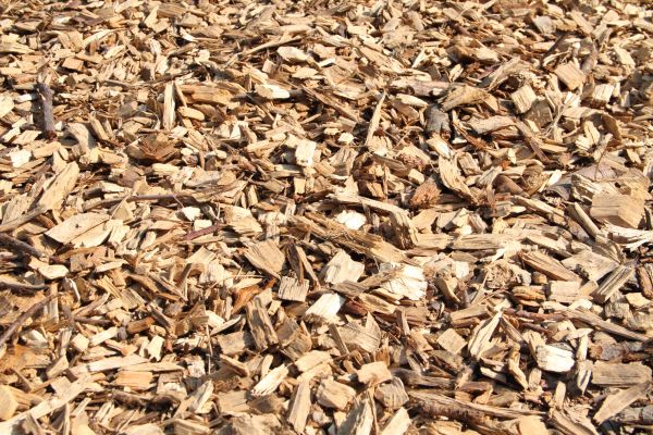 Wood Mulch Delivery in Plano