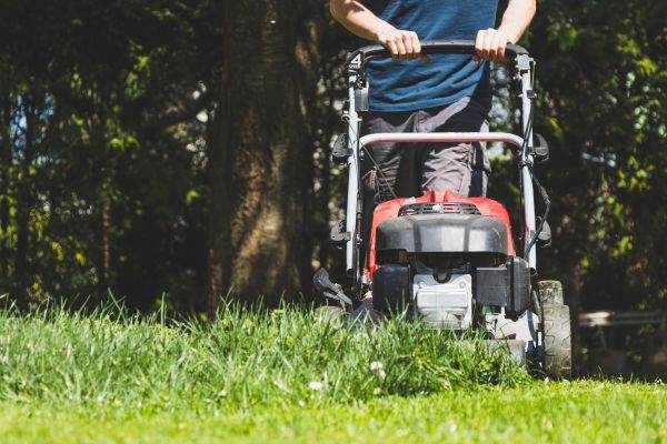 Garden Trimming Service in Plano