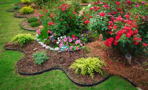 Floral Landscaping in Plano