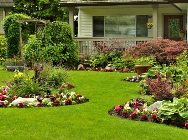 Flower Garden Planting in Plano