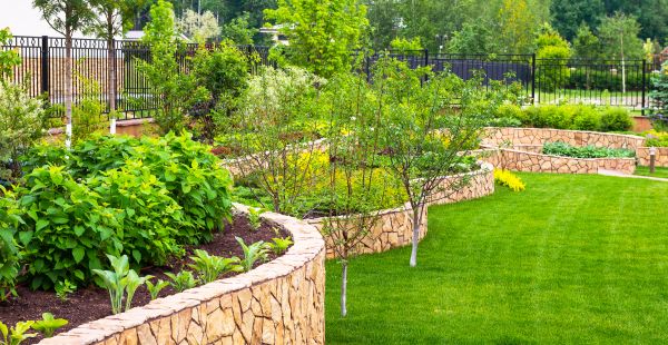 Yard Makeover Service in Plano