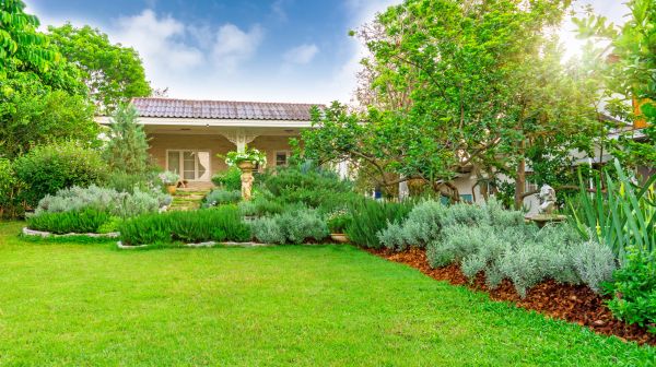 Greenery Planting in Plano