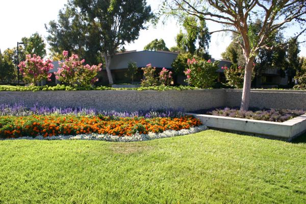 Commercial Landscape Service in Plano