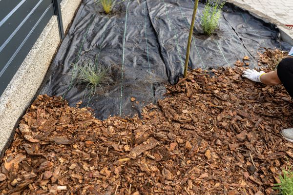 Pine Bark Spreading in Plano